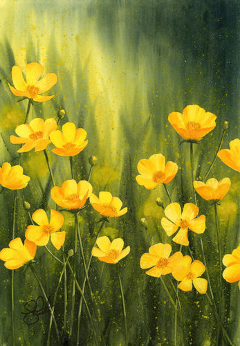 Buttercups