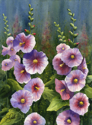 Hollyhocks