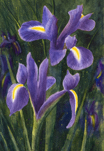 Irises