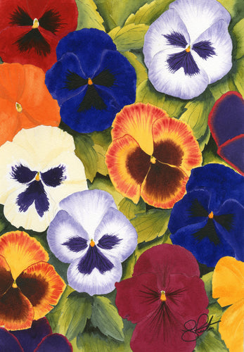 Pansies